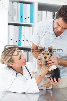 Owner with puppy visiting female vet