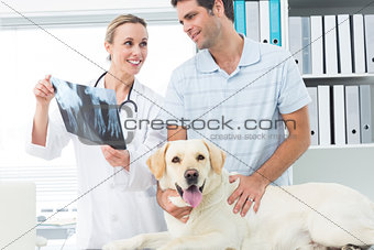 Veterinarian and pet owner discussing Xray of dog