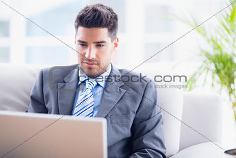 Young businessman sitting on couch using his laptop