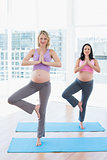 Smiling pregnant women in yoga class in tree pose