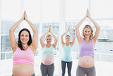 Pregnant women in yoga class standing in tree pose