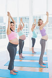 Smiling pregnant women in yoga class standing in tree pose looking at camera