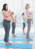 Pregnant women in yoga class standing in tree pose eyes closed