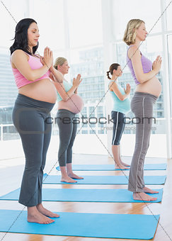 Pregnant women in yoga class standing in tree pose eyes closed