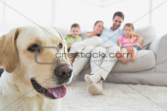 Happy family sitting on couch with their pet labrador in foreground