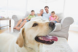 Happy family sitting on couch with their pet yellow labrador in foreground