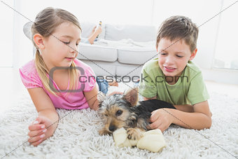 Siblings lying on rug with their yorkshire terrier puppy