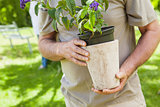 Mid section of a man holding flower pot at park