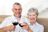 Senior couple sitting on sofa having red wine