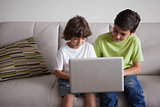 Young boys using laptop in the living room