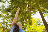 Young girl pointing up at trees in park
