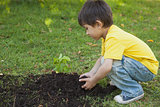 Young boy planting a young plant in park