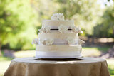 Wedding cake on table at park