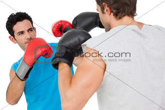 Close-up of two male boxers practicing