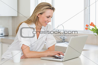 Happy woman using laptop at counter