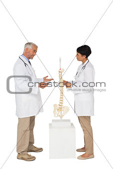 Two doctors discussing besides skeleton model