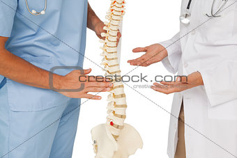 Mid section of doctors discussing besides skeleton model