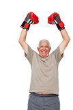 Portrait of a cheerful senior boxer