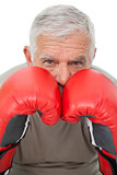 Close-up portrait of a determined senior boxer