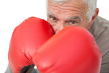 Close-up portrait of a determined senior boxer