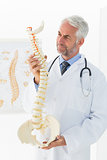 Mature male doctor holding skeleton model in his office