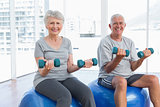Happy senior couple sitting on fitness balls with dumbbells