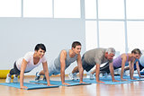 Group doing push ups in row at yoga class