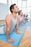Group doing cobra pose in row at yoga class