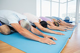Fitness group in row at yoga class