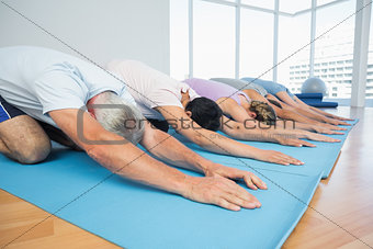 Fitness group in row at yoga class
