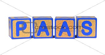 PAAS - Colored Childrens Alphabet Blocks.
