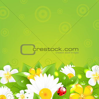 Borders With Grass And Colorful Flowers