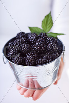 Blackberries in a small bucket