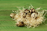 quail eggs in nest on wooden background easter still life