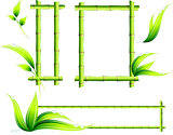Bamboo Frames