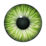 green eye texture
