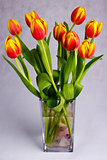 Beautiful orange red tulips on grey background