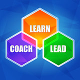 learn, coach, lead in hexagons, flat design