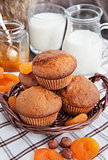 Fresh homemade apricot muffins