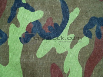 Camouflage  background