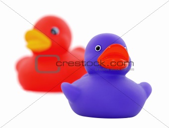 Two Rubber Duckies 2