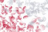 Red and White Blood Cells Mixing