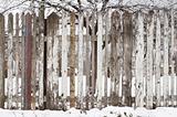 wooden fence at winter