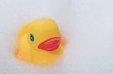 Rubber Duck in a Bubble Bath