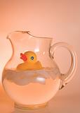 Pitcher of Duck
