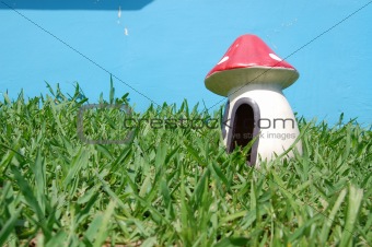 mushroom at the garden