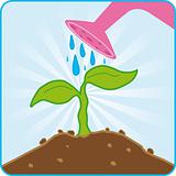 Watering plant