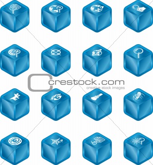 Web Search Cube Icon Series Set