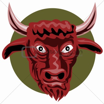 Angry bull staring you in the face