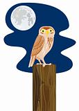 Owl perched on a post with moon